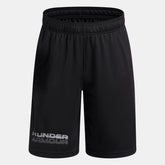 UA Techâ„¢ Graphic Boys' Shorts