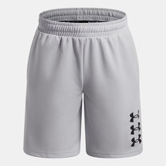 UA Next Gen Boys' Shorts