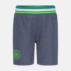 UA Court Mesh Little Boys' Shorts