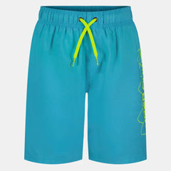 UA DWR Print Boys' Volley Shorts