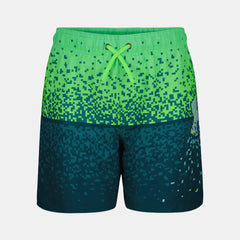 UA Gamer Eng Boys' Volley Shorts
